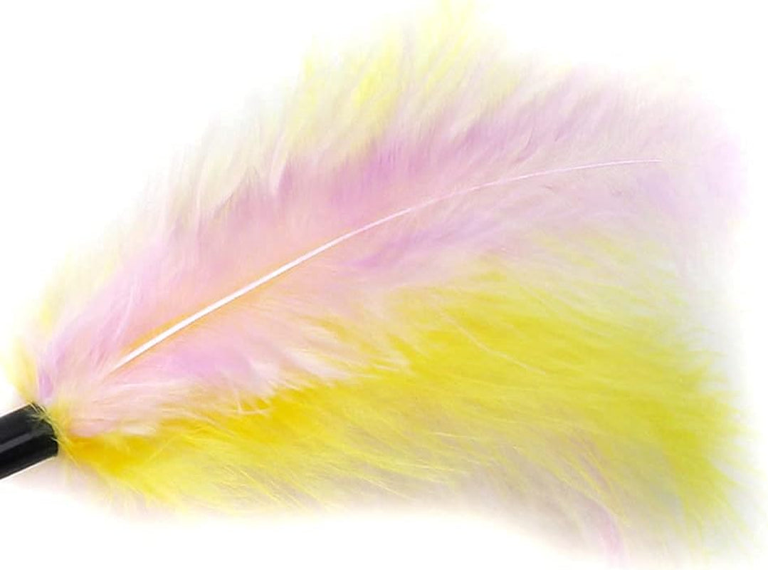Feather Cat Toys,Kitten Toys for Indoor Cats,Cat Wand.Cat Toy Wand,Cat Teaser,Interesting Interactive Games (Double Color Feathers)